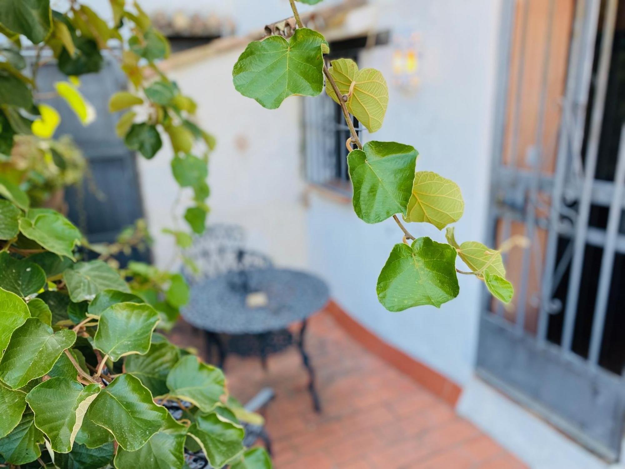 Posada La Casa Grande Jimena De La Frontera Eksteriør billede